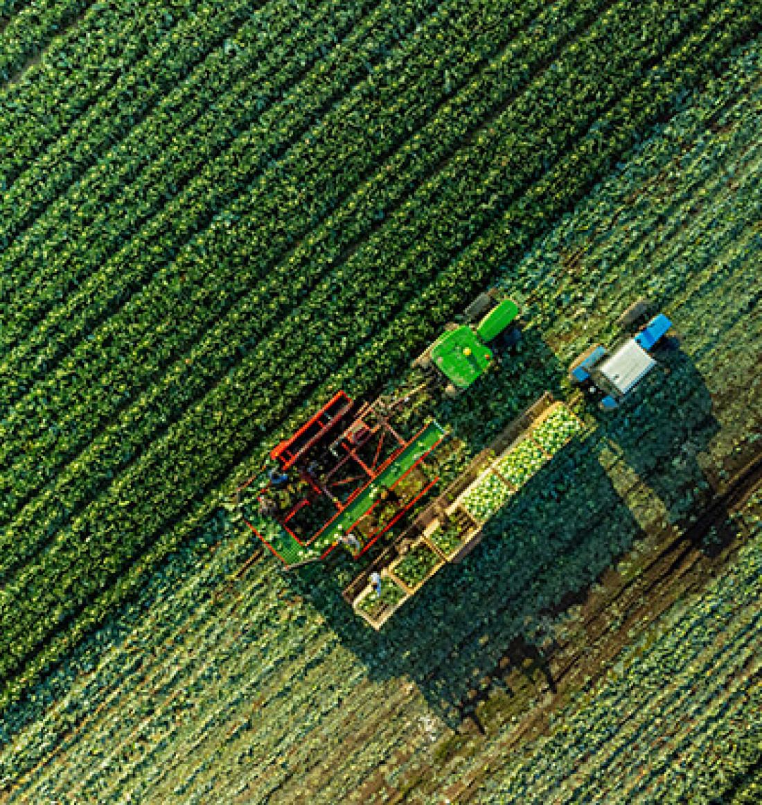Agrowest – váš partner pro zemědělskou techniku!